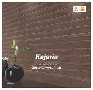 Kajaria Wall Tiles Catalog (South West India)
