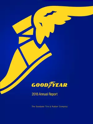 Good Year Company Annual Report 2019