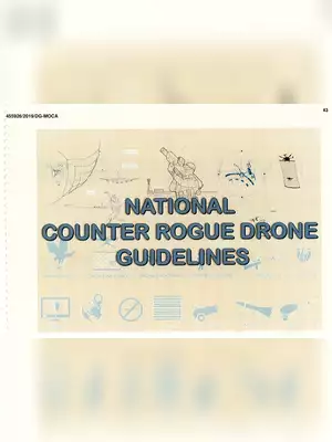 National Counter Rogue Drone Guidelines