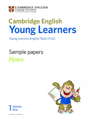 Flyers Sample Papers