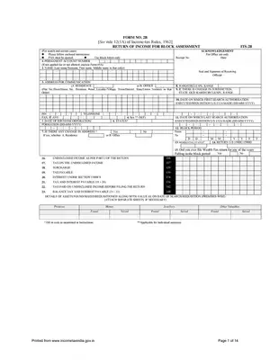Block Assessment Income Return Form 2B