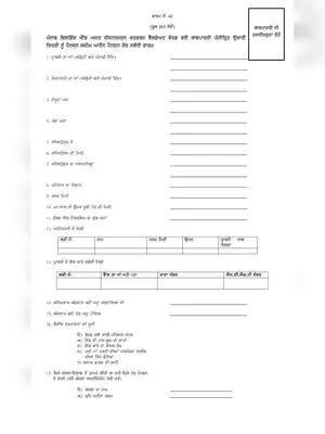 Pension Scheme Punjab Application Form Punjabi