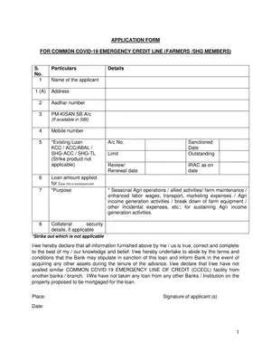 Common Covid-19 Emergency Credit Line Application Form