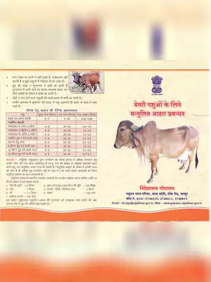 Feeding Management of Dairy Cattle (Cows & Buffalo) Hindi