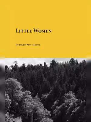 Little Women Book