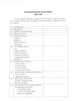 PMSBY Claim Application Form Telugu