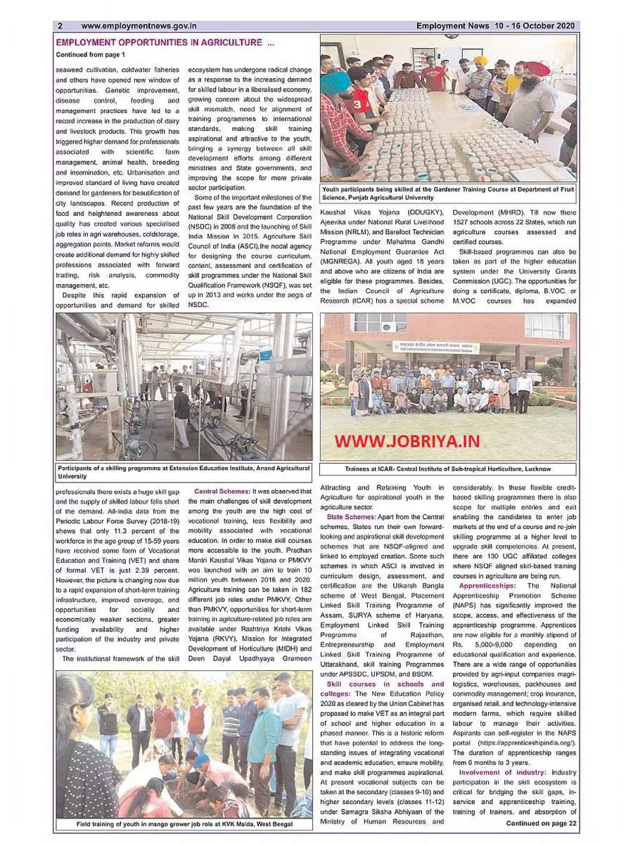 2nd Page of Employment Newspaper Second Week of October 2020 PDF