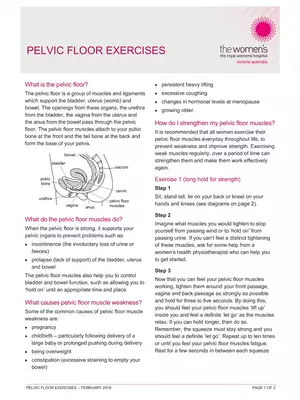 Pelvic Floor Exercises PDF