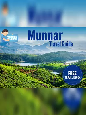 Munnar Tour & Travel Brochure / Guide PDF