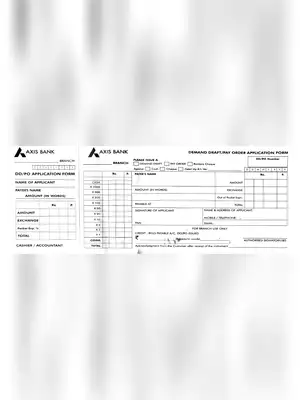 Axis Bank DD Form PDF