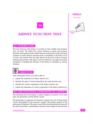 Kidney Function Test Results Report Sample