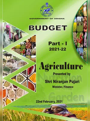 Odisha Budget 2021 PDF