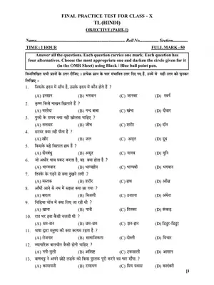 Final Practice Test for Class X Hindi
