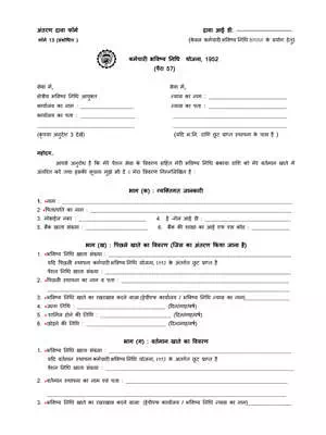 Form 13 Hindi, English