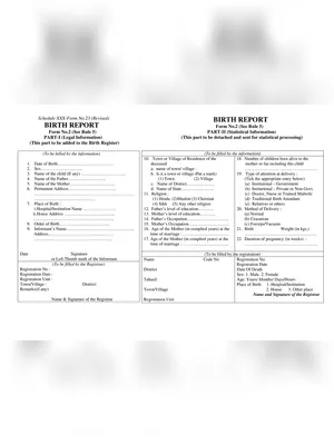 Odisha Birth Certificate Form