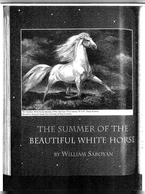The Summer of Beautiful White Horse