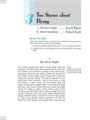Two Stories about Flying