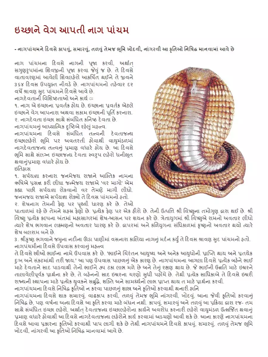 2nd Page of નાગ પંચમી વ્રત કથા (Nag Panchami Vrata) PDF