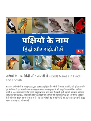 पक्षियों के नाम हिंदी और इंग्लिश में (Birds Name) Hindi