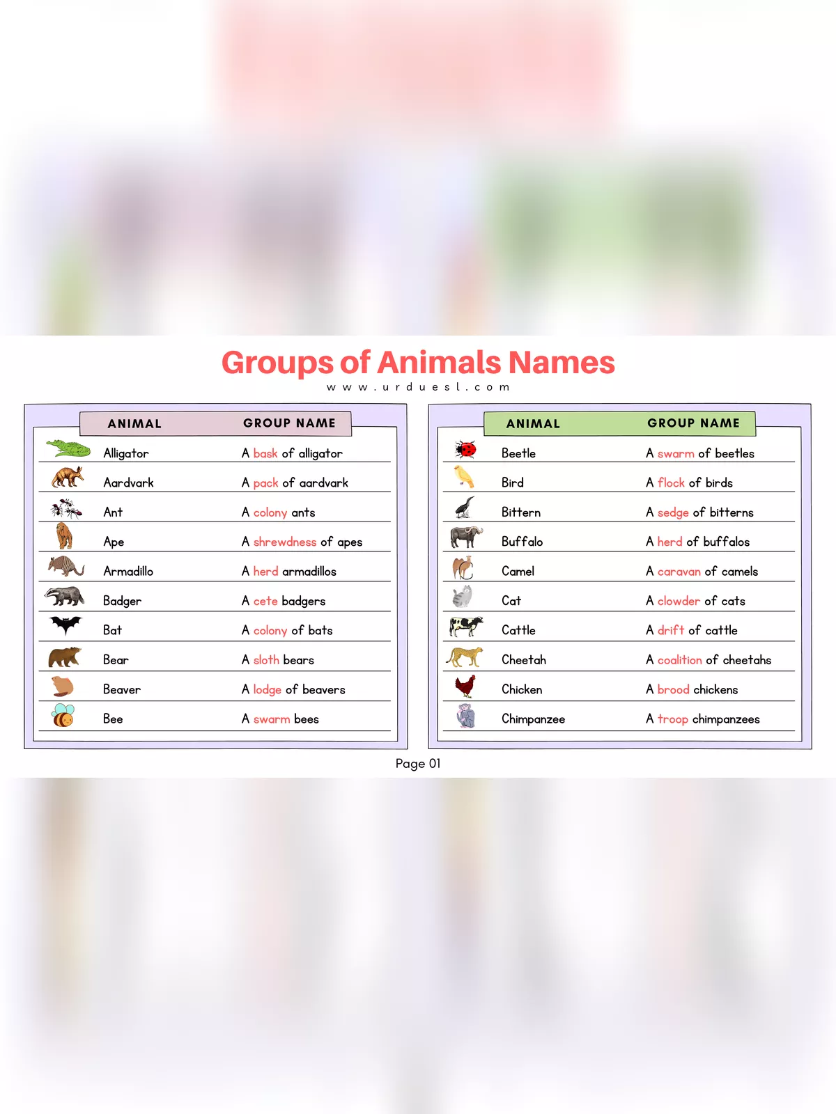 99+ Animal Groups of Names List