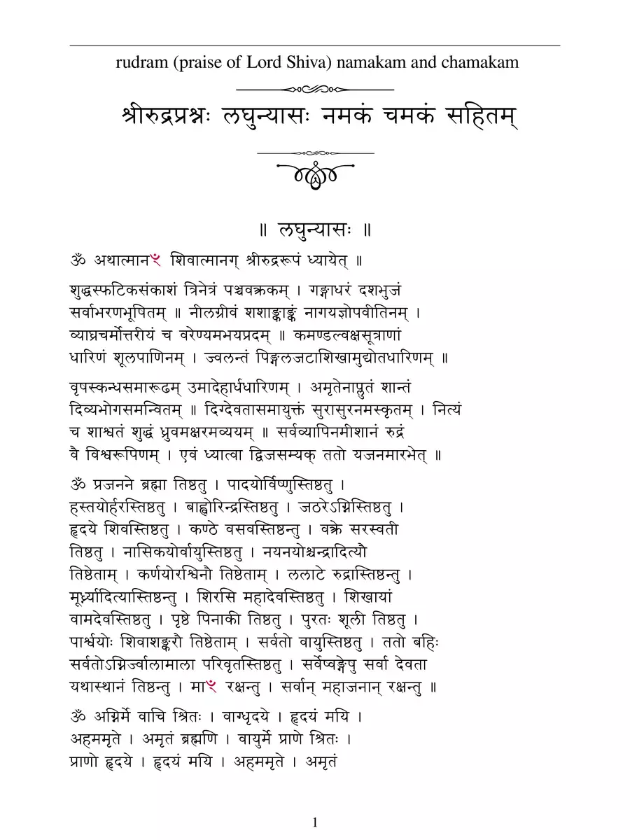 2nd Page of श्री रुद्रम् चमकम् – Rudram Namakam Chamakam PDF