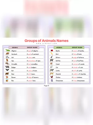 99+ Animal Groups of Names List PDF