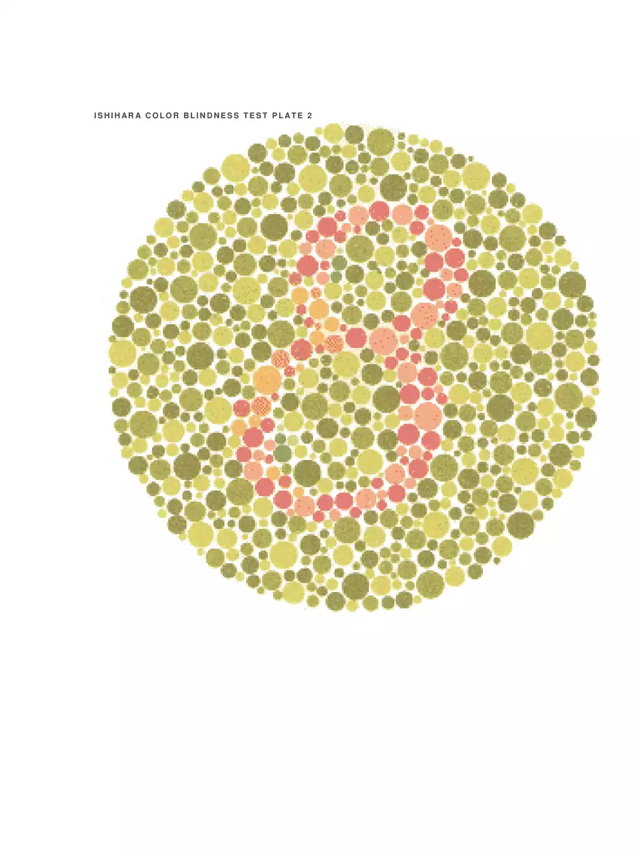 2nd Page of Colour Blindness Test Book PDF