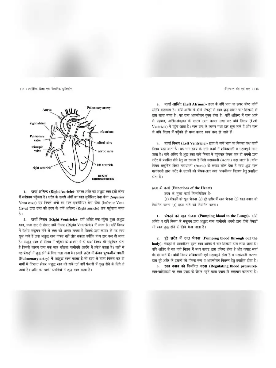 2nd Page of परिसंचरण तंत्र नोट्स – Circulatory System Notes PDF