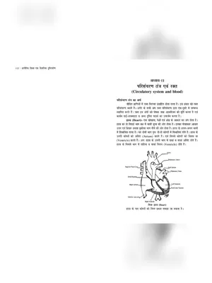 परिसंचरण तंत्र नोट्स – Circulatory System Notes Hindi