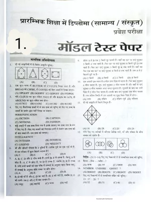 BSTC Exam Paper 2023 Hindi