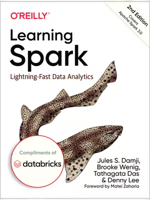 Spark Book PDF