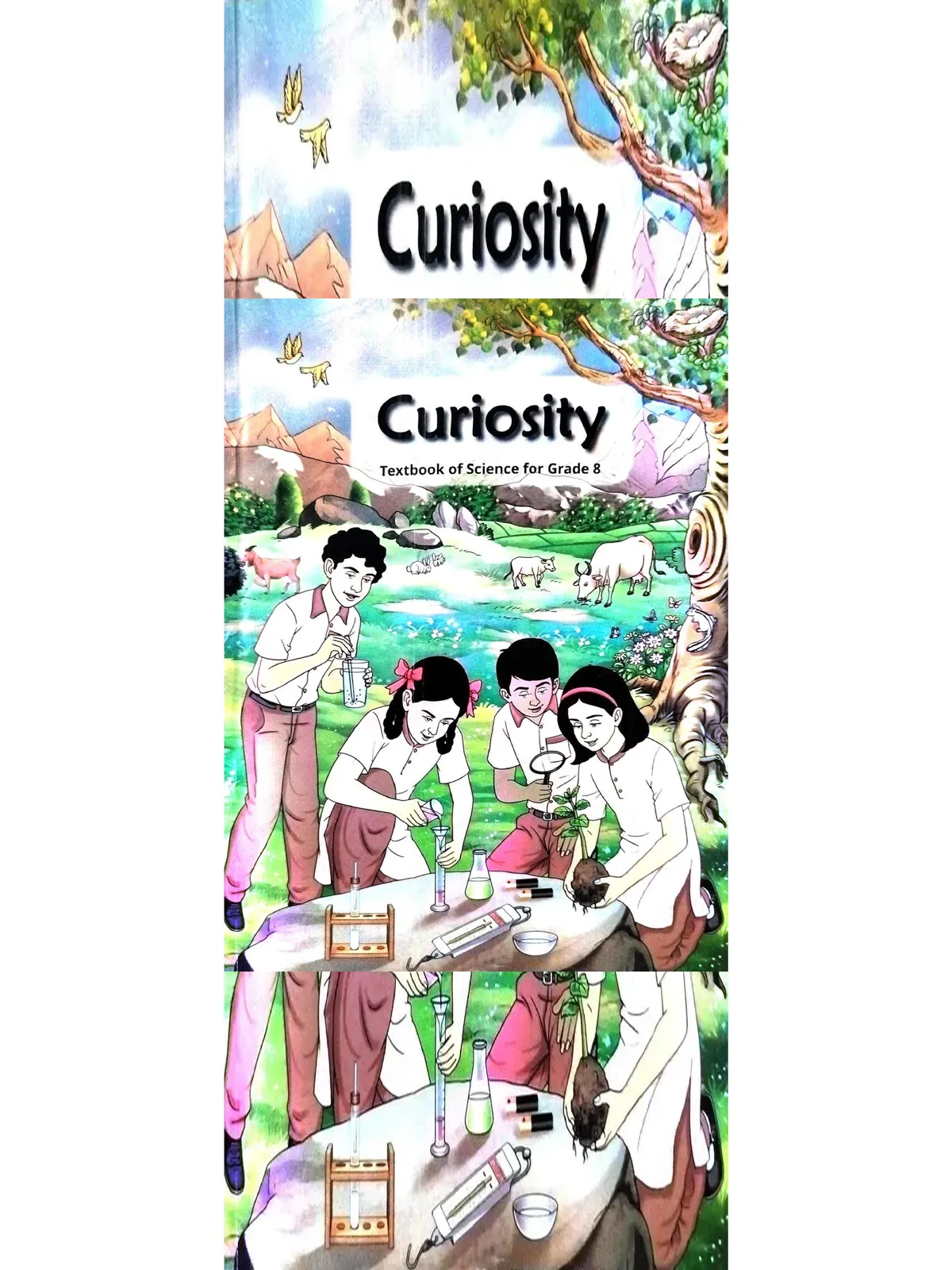 Class 8 Curiosity Science Book