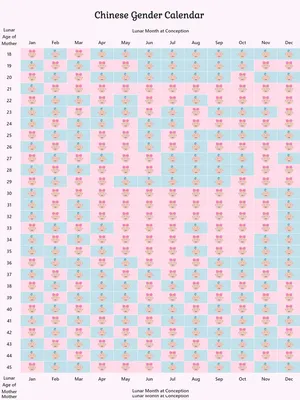 Calendario chino de embarazo 2026 English