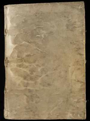Manuscript Voynich English