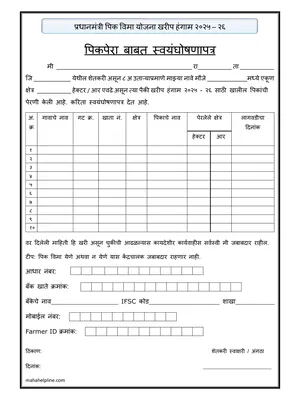 Pik Pera Form 2025 