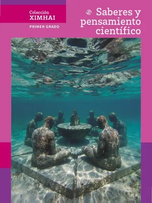 Libro De Saberes Y Pensamiento Científico English