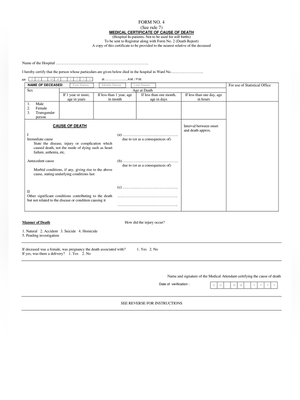 Death Report Form