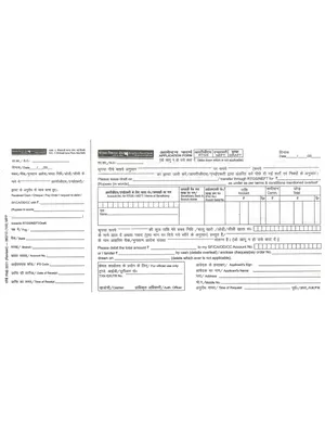 PNB RTGS Form 2026