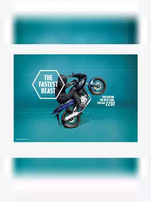 Bajaj Pulsar 220 Brochure