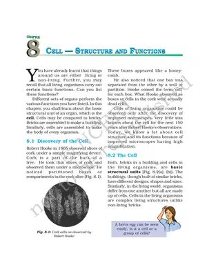 Cell Structure and Functions