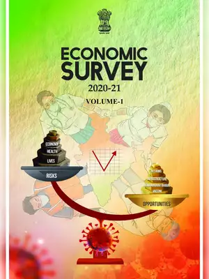 Economic Survey 2020