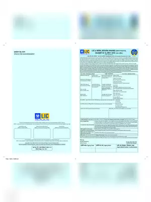 LIC’s New Jeevan Anand Plan