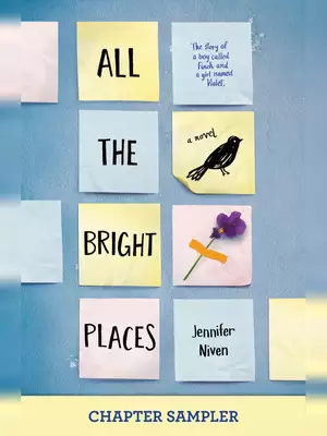 All The Bright Places Book