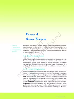 Taxonomic Classification of Animals