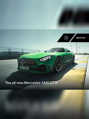 Mercedes Benz AMG GT-R BS6 Brochure