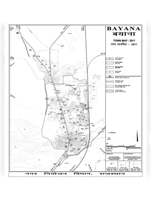 Bayana Master Plan 2031