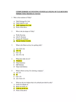 Computerized Accounting MCQs