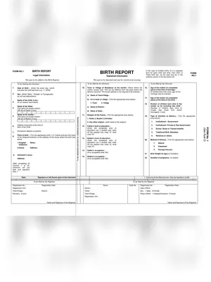 Maharashtra Birth Certificate Form