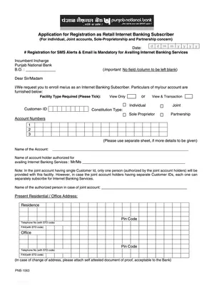 PNB Internet Banking Form