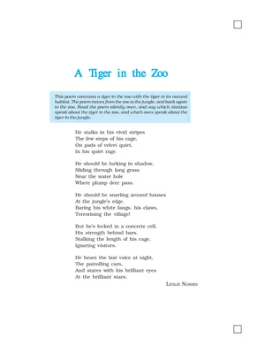 A Tiger in the Zoo